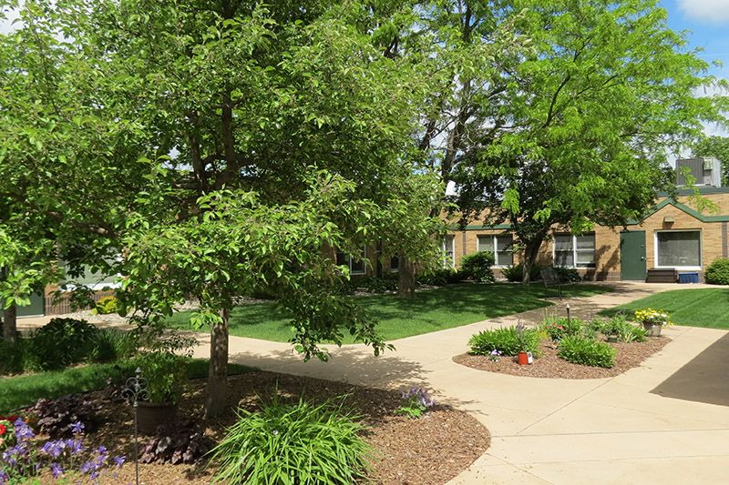 A peaceful garden landscape with winding pathways surrounded by lush greenery and trees.