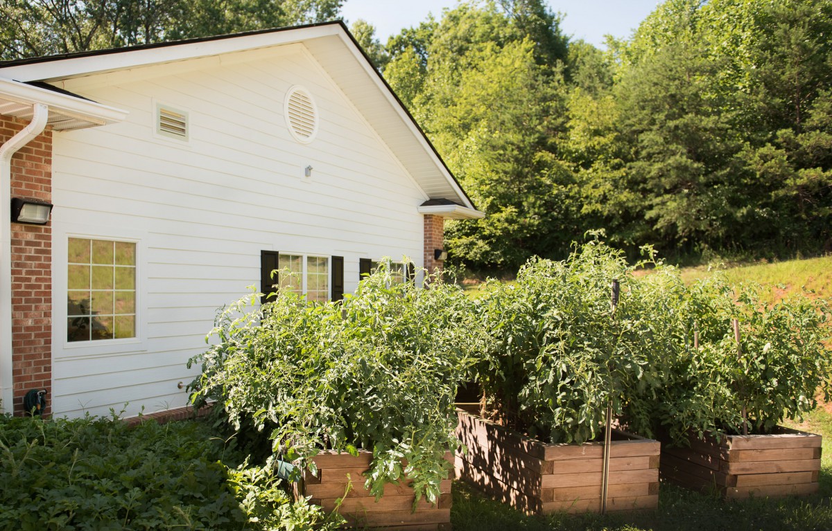 A small white house surrounded by lush green vegetation and a sunny garden.