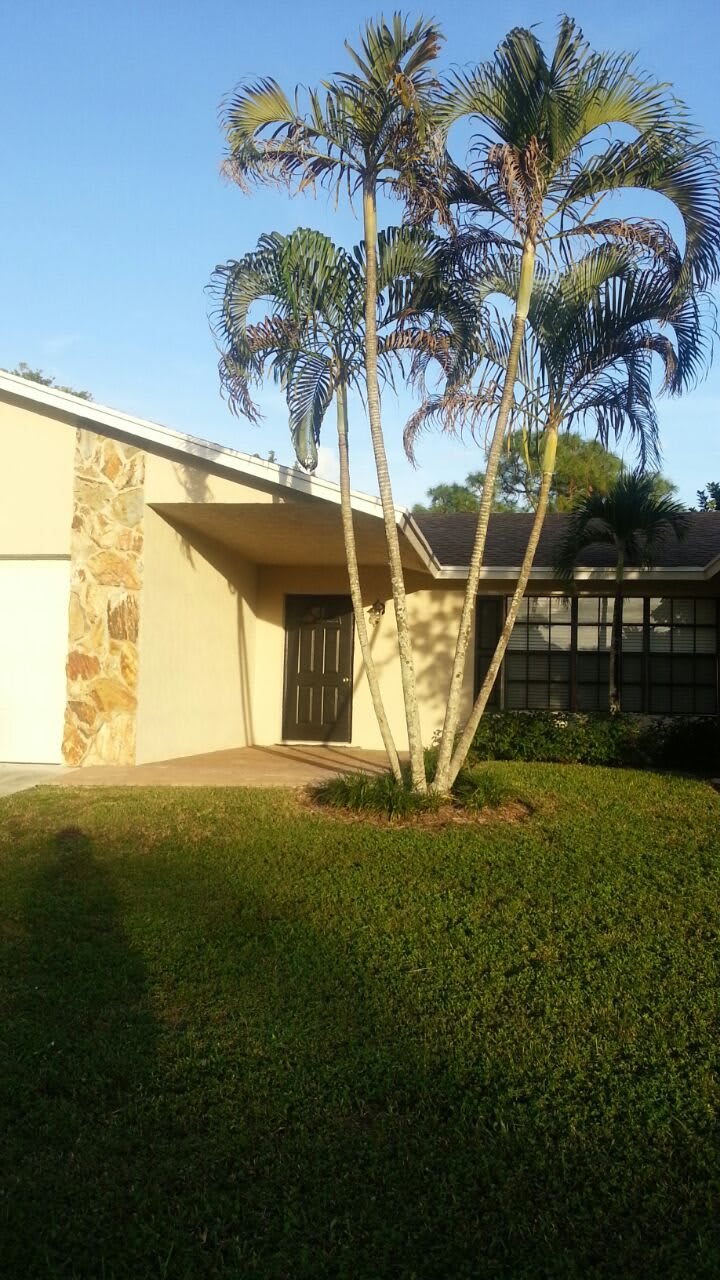 A residential house with palm trees and a well-maintained lawn in sunlight.
