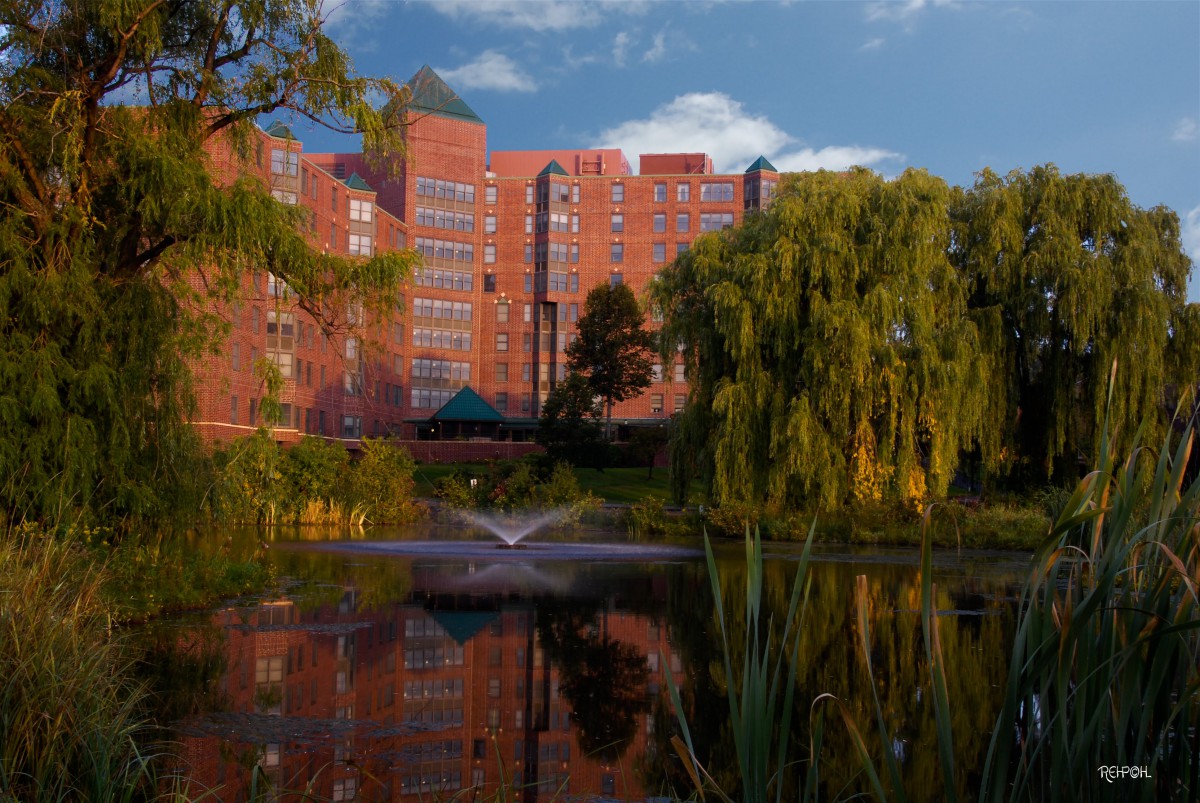 A scenic view of a building by a pond with a fountain and lush greenery under a blue sky.