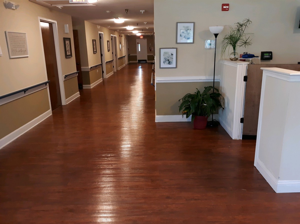 A well-lit hallway with wooden flooring and decorative elements such as wall art and a potted plant.