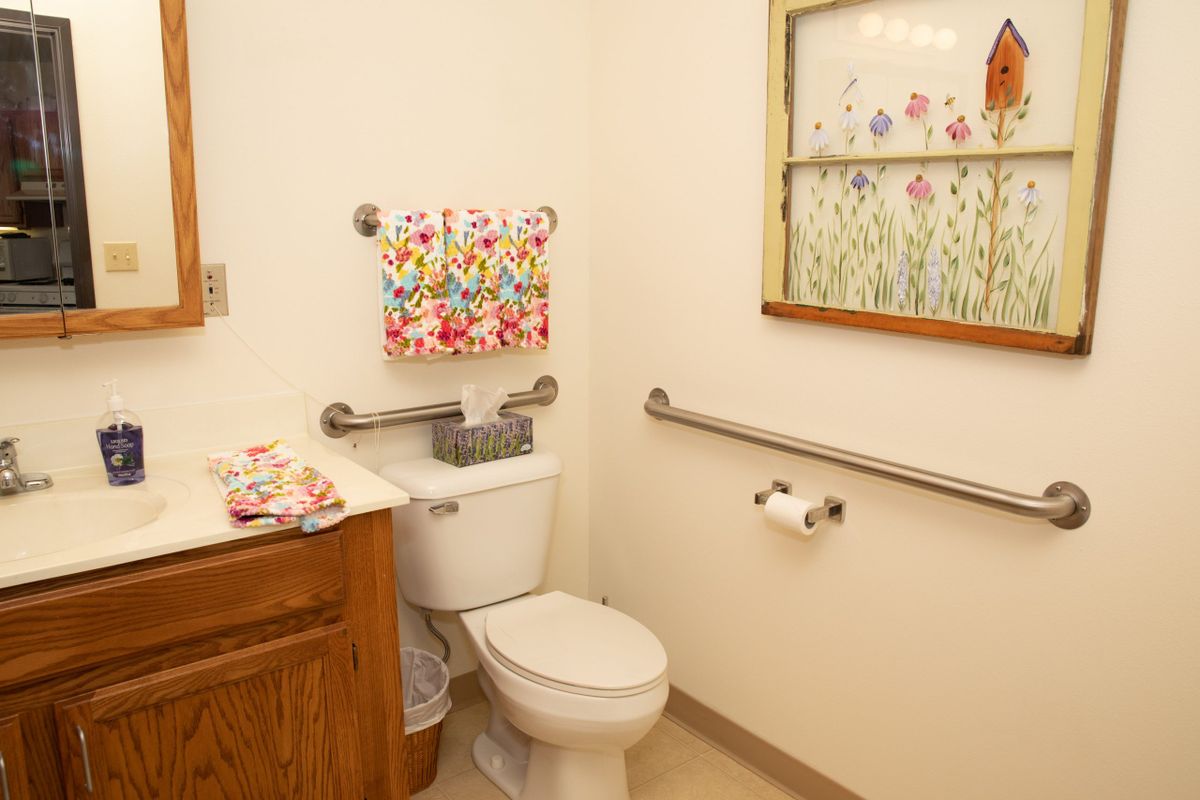 A bathroom with a toilet, sink, and colorful decor featuring safety handrails.