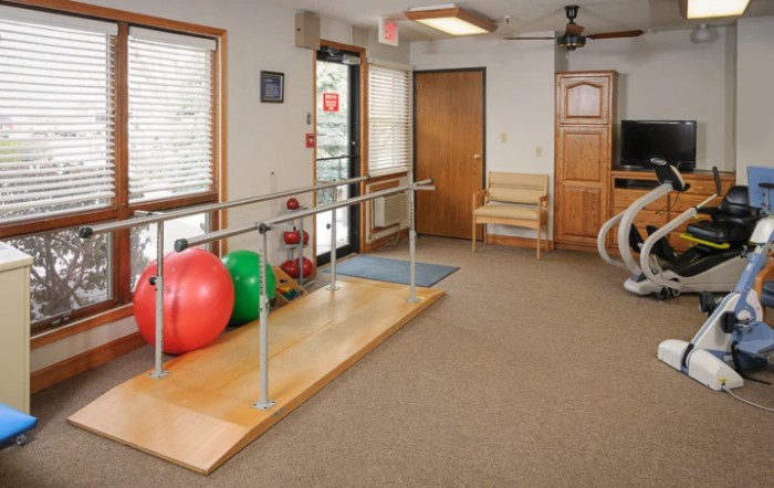 A rehabilitation room equipped with parallel bars and exercise balls for physical therapy.