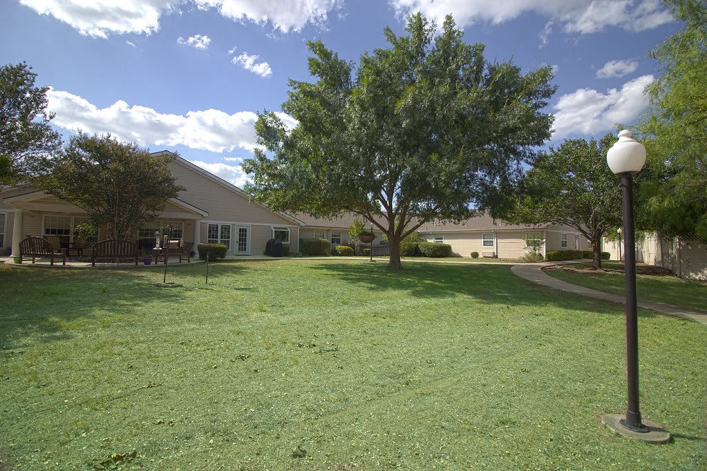 A peaceful residential area with a large tree and well-maintained lawn.