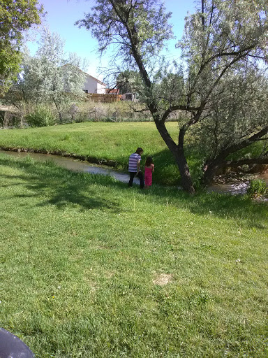 Two children exploring a grassy area near a tree and stream.