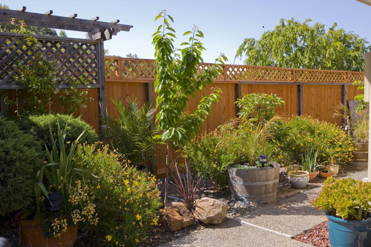 Lucas Valley Lodge
