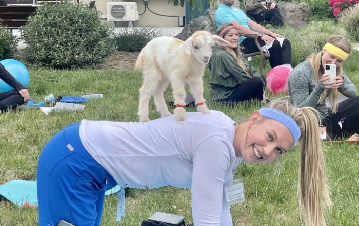 A joyful moment during a goat yoga session.