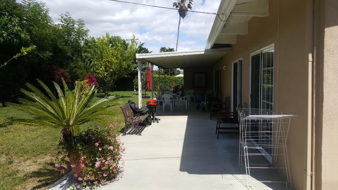 A sunny backyard patio with outdoor seating and tropical plants.