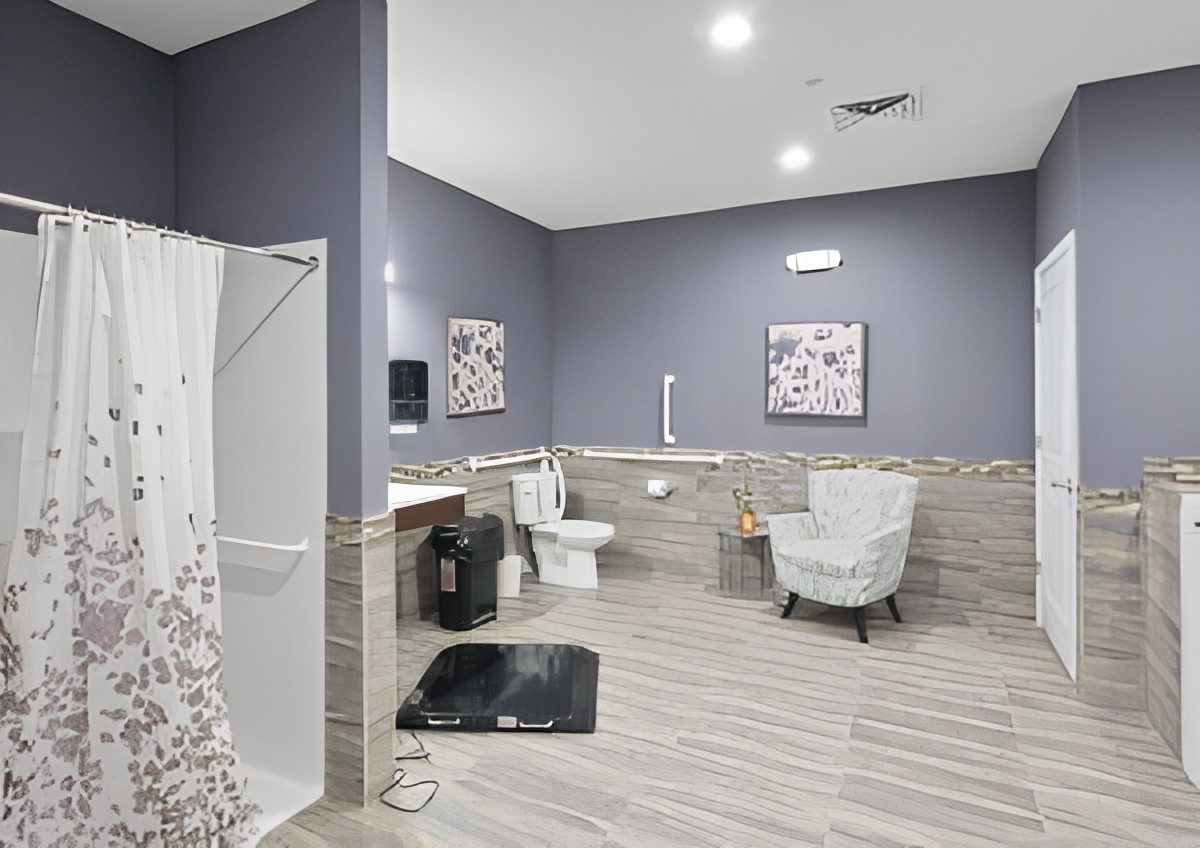 A modern bathroom with a shower, toilet, and decorative elements.
