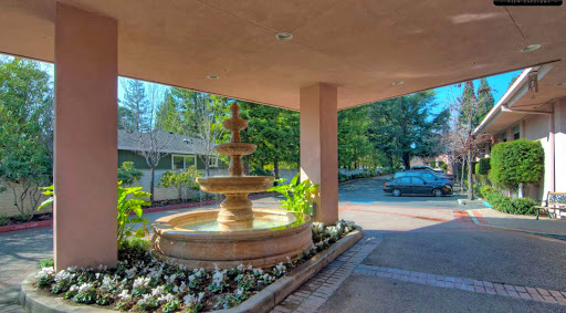 A serene courtyard with a decorative fountain surrounded by lush greenery and flowers.
