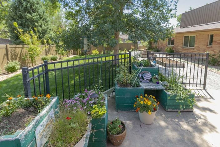A cozy patio garden with various plants and flowers next to a fenced yard.