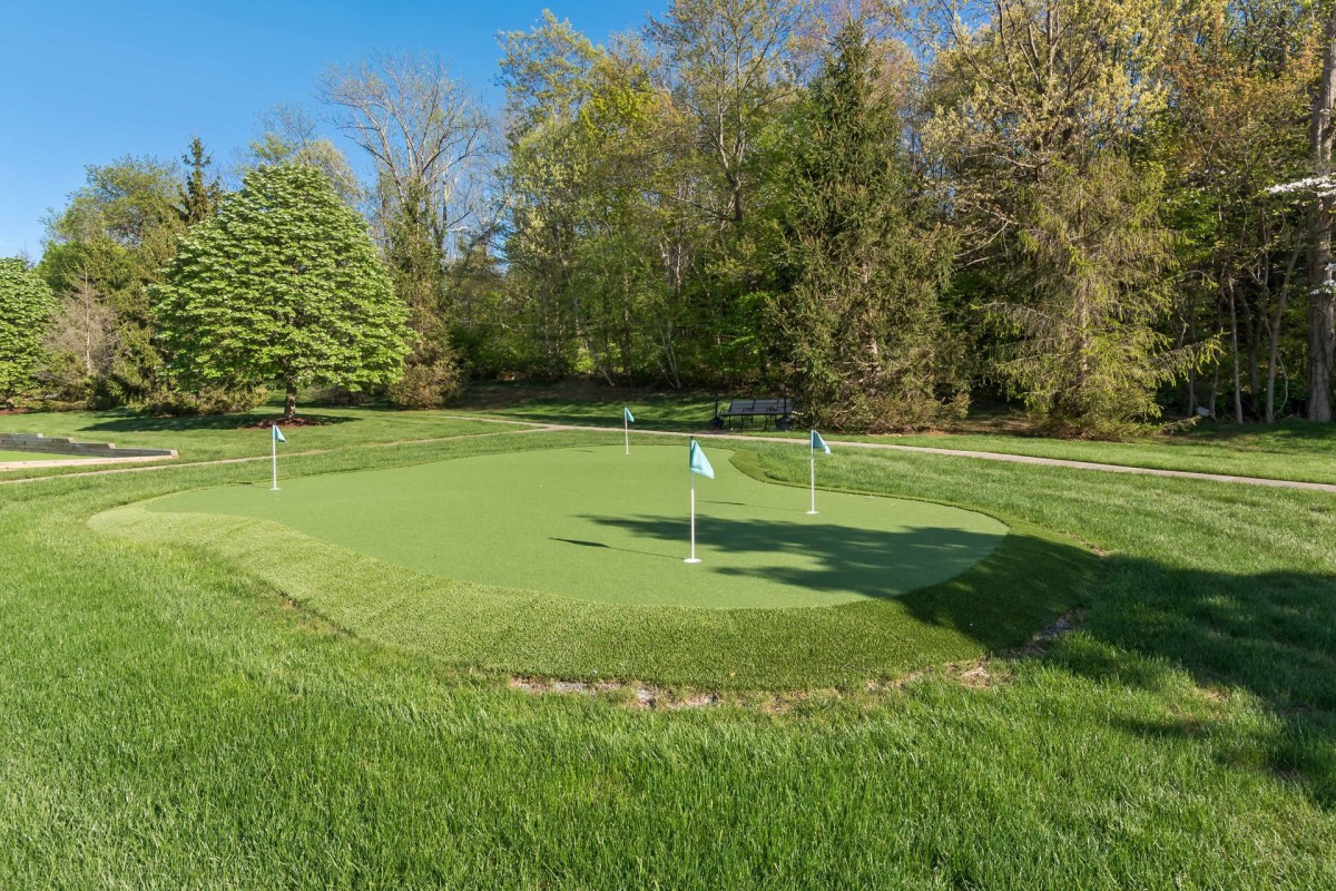 A tranquil putting green surrounded by lush trees and greenery.