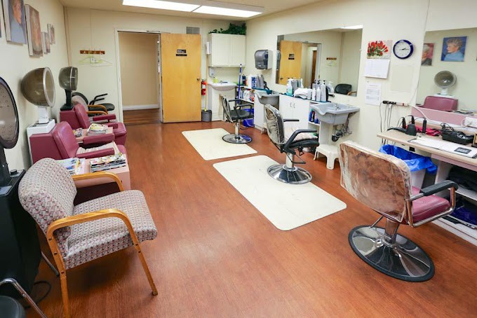 An empty hair salon with chairs and mirrors arranged neatly.