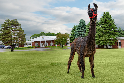 Life Care Center Of Nashoba Valley