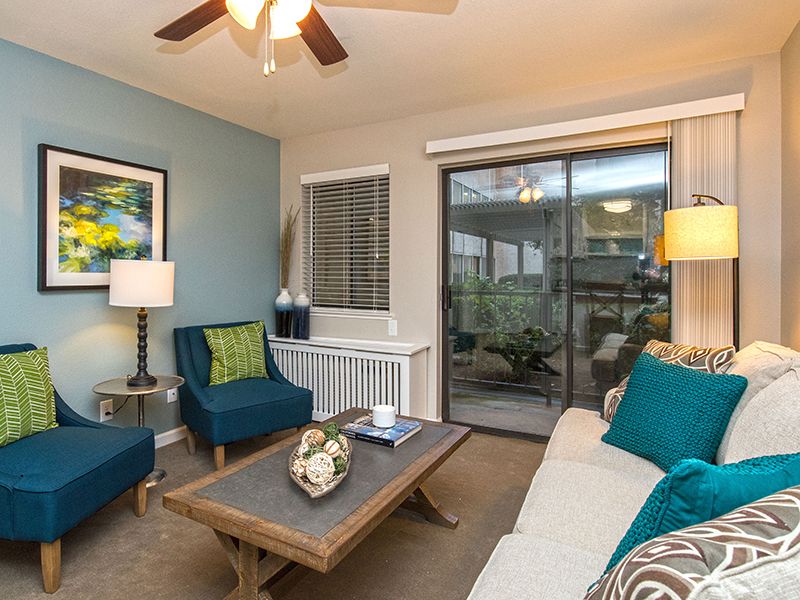 A modern living room featuring cozy seating, a coffee table, and stylish decor.