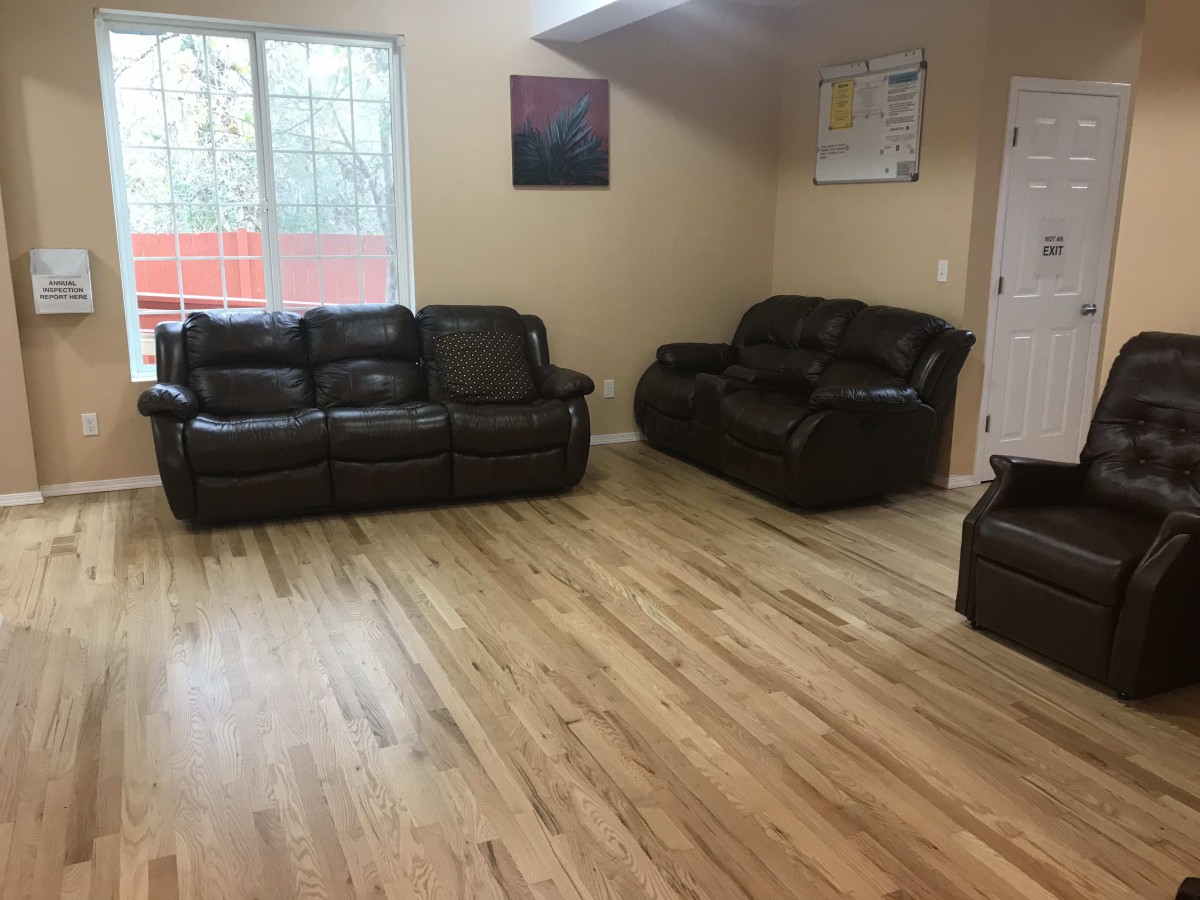 A minimalist living room with leather sofas and wooden flooring.