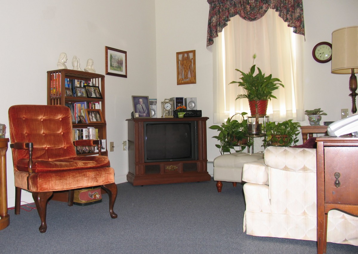 A cozy living room with vintage furniture, featuring an armchair, a television, a bookshelf, and several potted plants.
