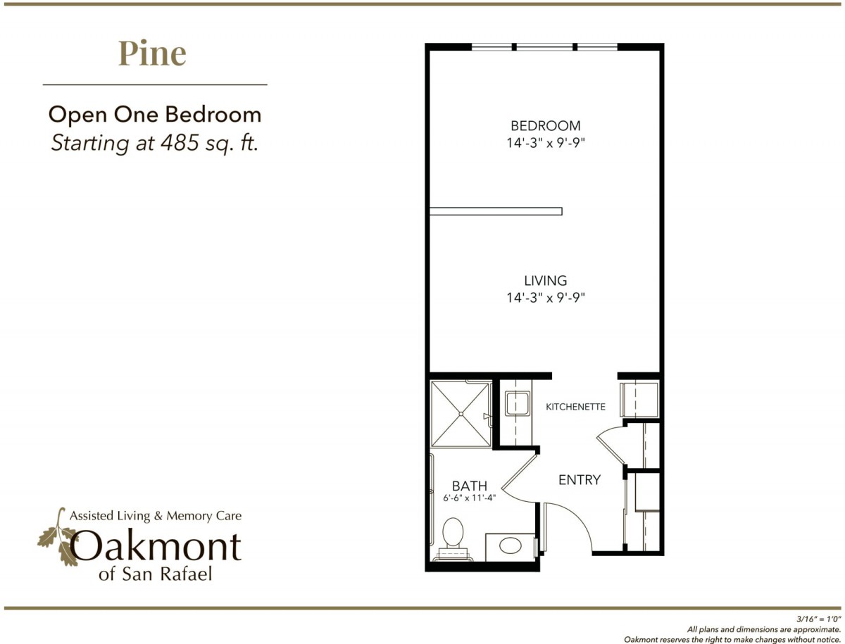 Floor plan of the Pine one-bedroom apartment at Oakmont, featuring a living room, bedroom, bathroom, and kitchen area.