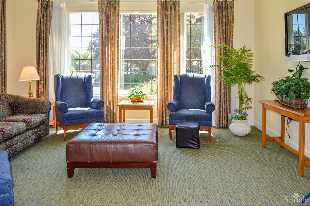 A cozy living room featuring two blue armchairs, a leather ottoman, and large windows with elegant curtains, complemented by a potted plant for a touch of greenery.