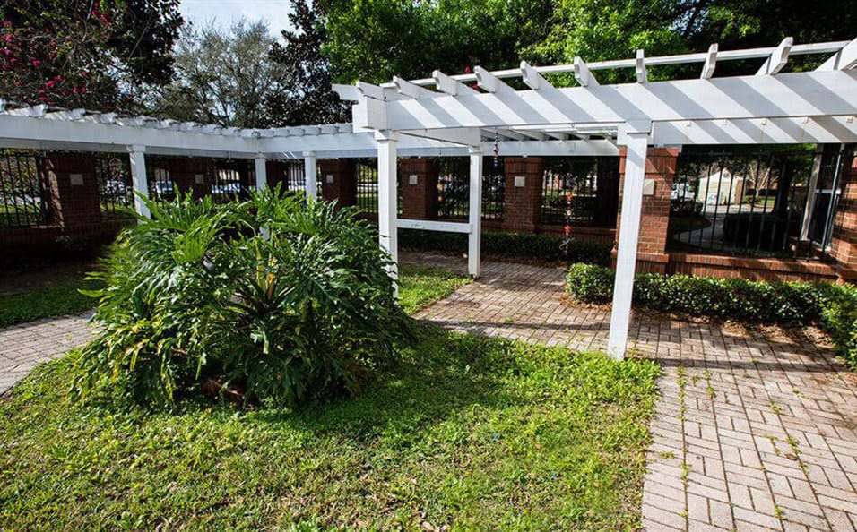 A garden scene featuring a white pergola structure surrounded by lush greenery.