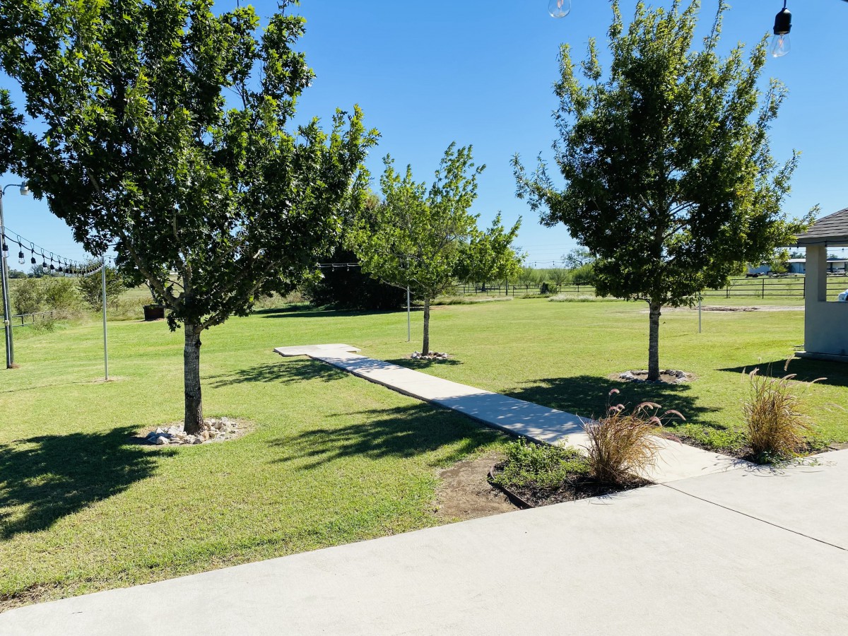 A serene park scene with a concrete pathway lined by trees on a sunny day.