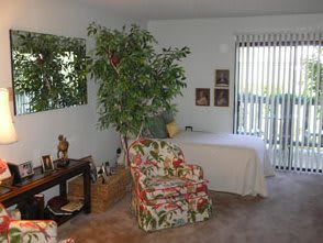 A cozy living room with a floral armchair, large indoor plant, and artwork on the walls.