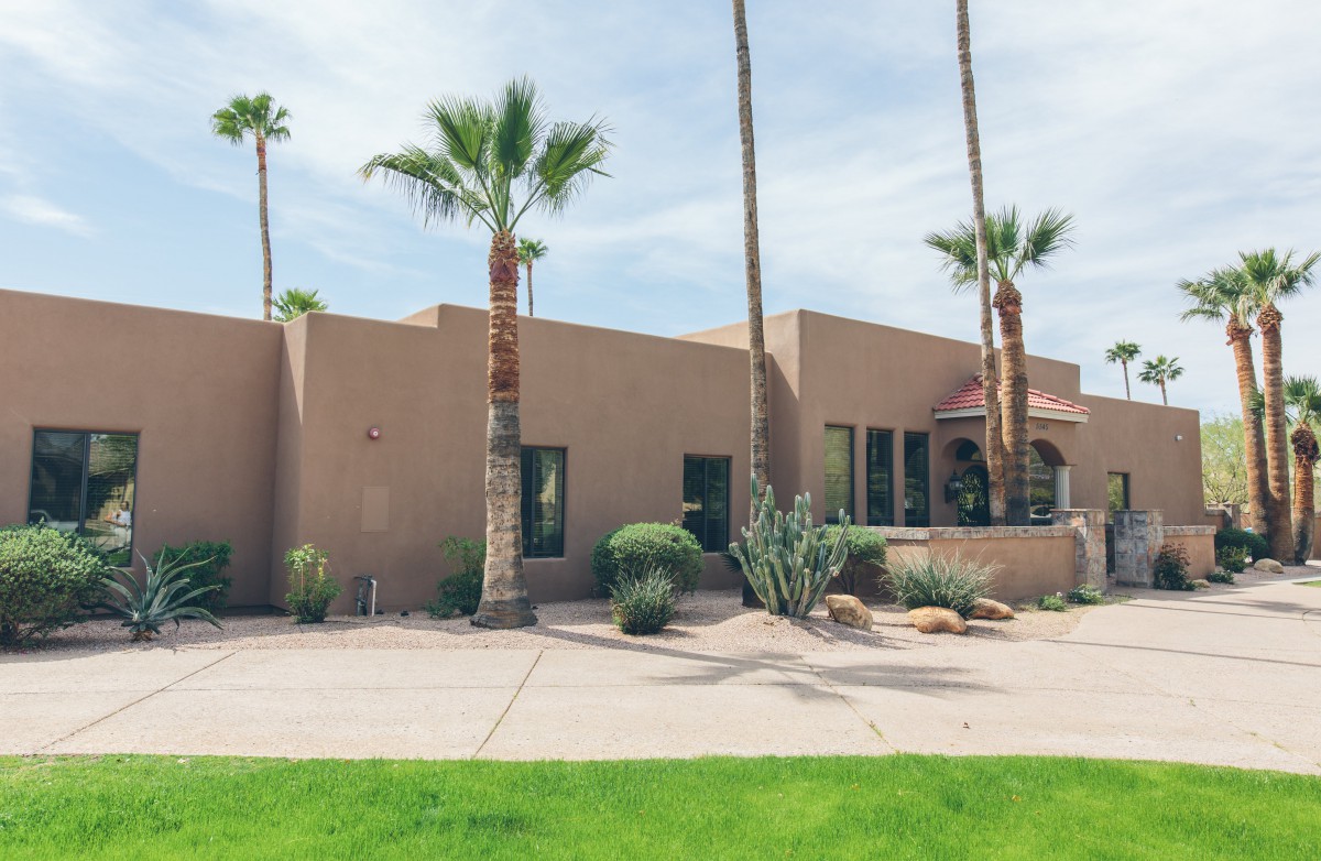 A modern desert home with palm trees and cacti in the foreground.