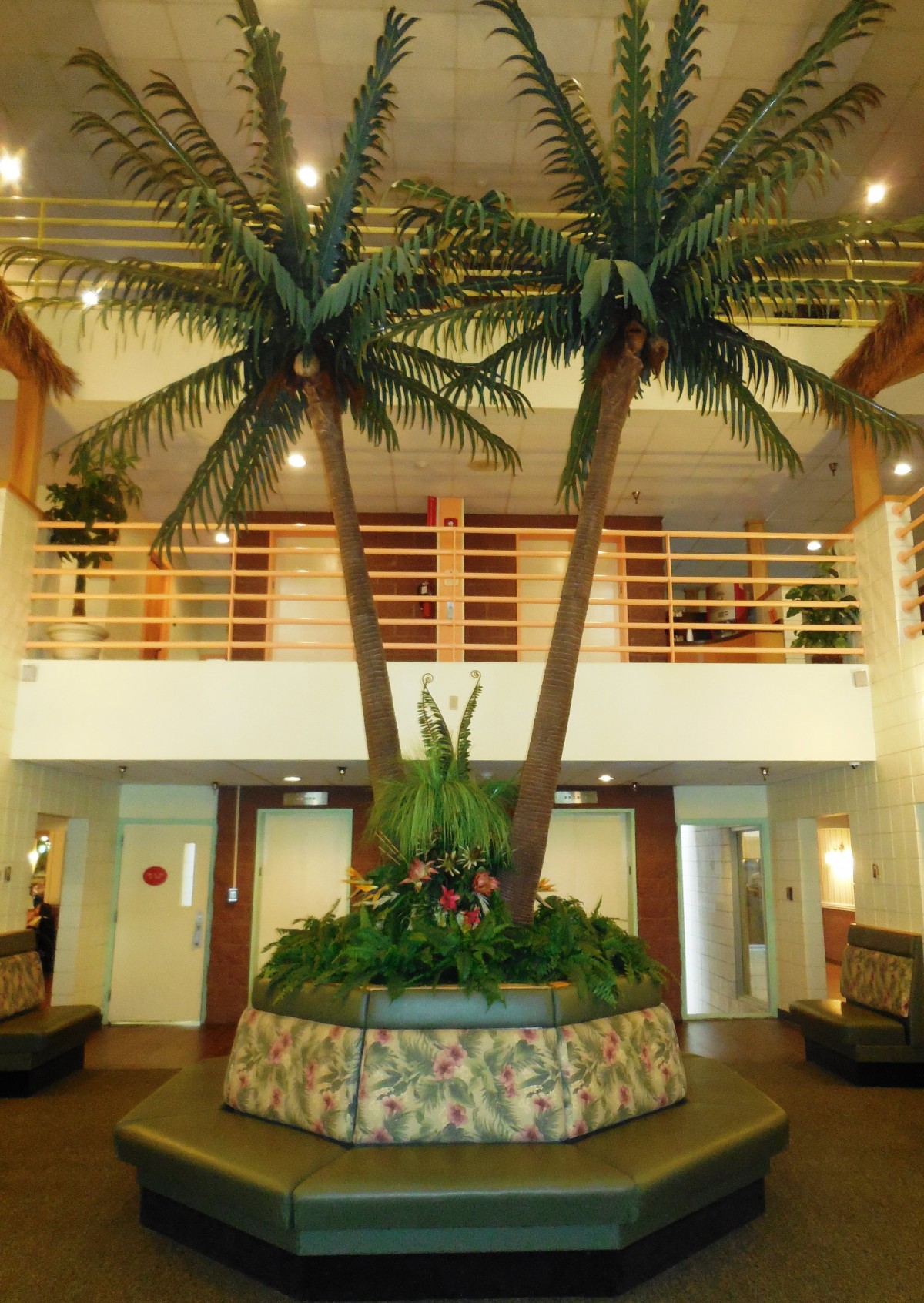 The Palms At O Neil