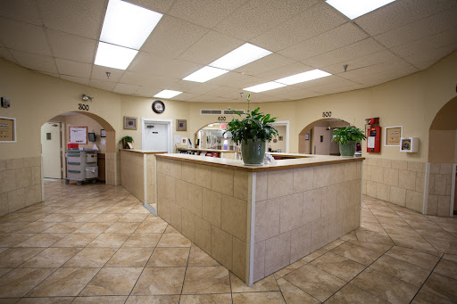 A welcoming reception area with natural light, tiled floors, and greenery.