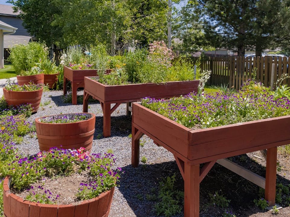 A beautiful backyard featuring raised garden beds filled with various plants and flowers.