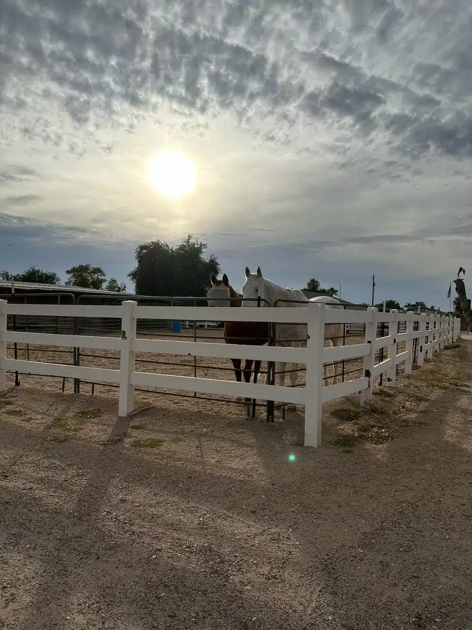 Class Act on Los Alamos