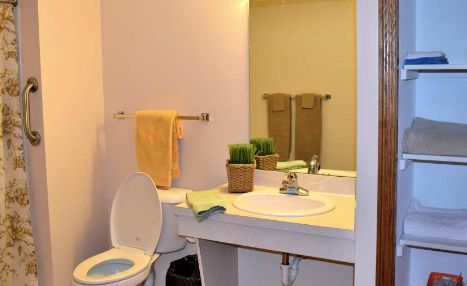 A neat bathroom featuring a sink with a mirror, toilet, towels, and small potted plants for decoration.