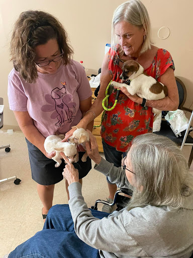 Heartland Living & Rehab At The Moses H Cone Mem H