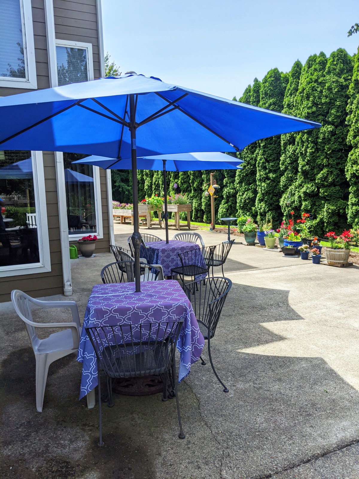A sunny patio with tables and chairs under blue umbrellas, surrounded by lush greenery.