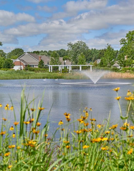 A serene landscape featuring a pond with a fountain, surrounded by houses and vibrant flowers.