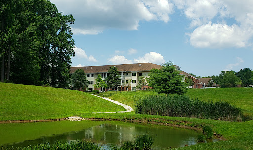 A serene view of an apartment building beside a calm pond, surrounded by lush greenery and a blue sky.