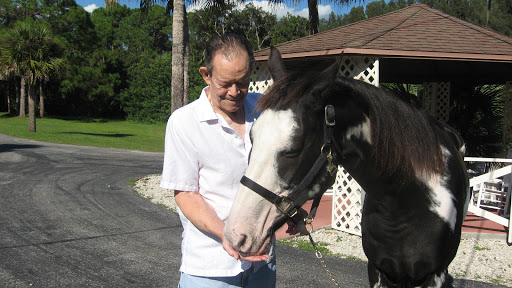 A man joyfully interacting with a horse in a sunny outdoor setting.