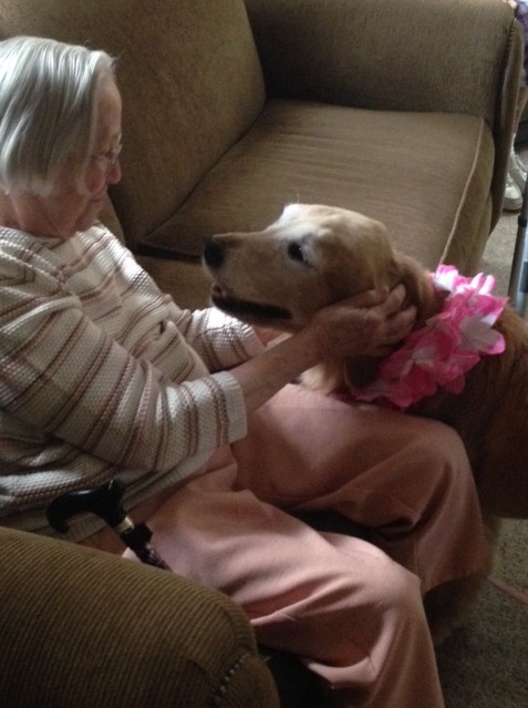 An elderly person interacting with a golden retriever adorned with flowers, sitting on a couch.