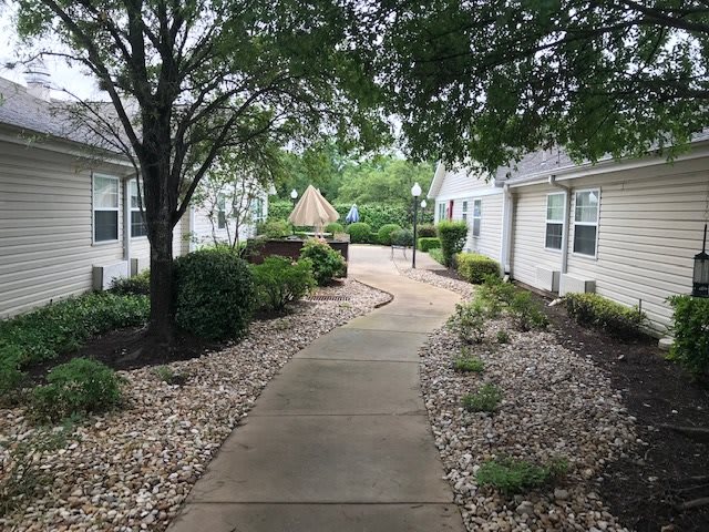 A peaceful residential walkway surrounded by neatly maintained landscaping.
