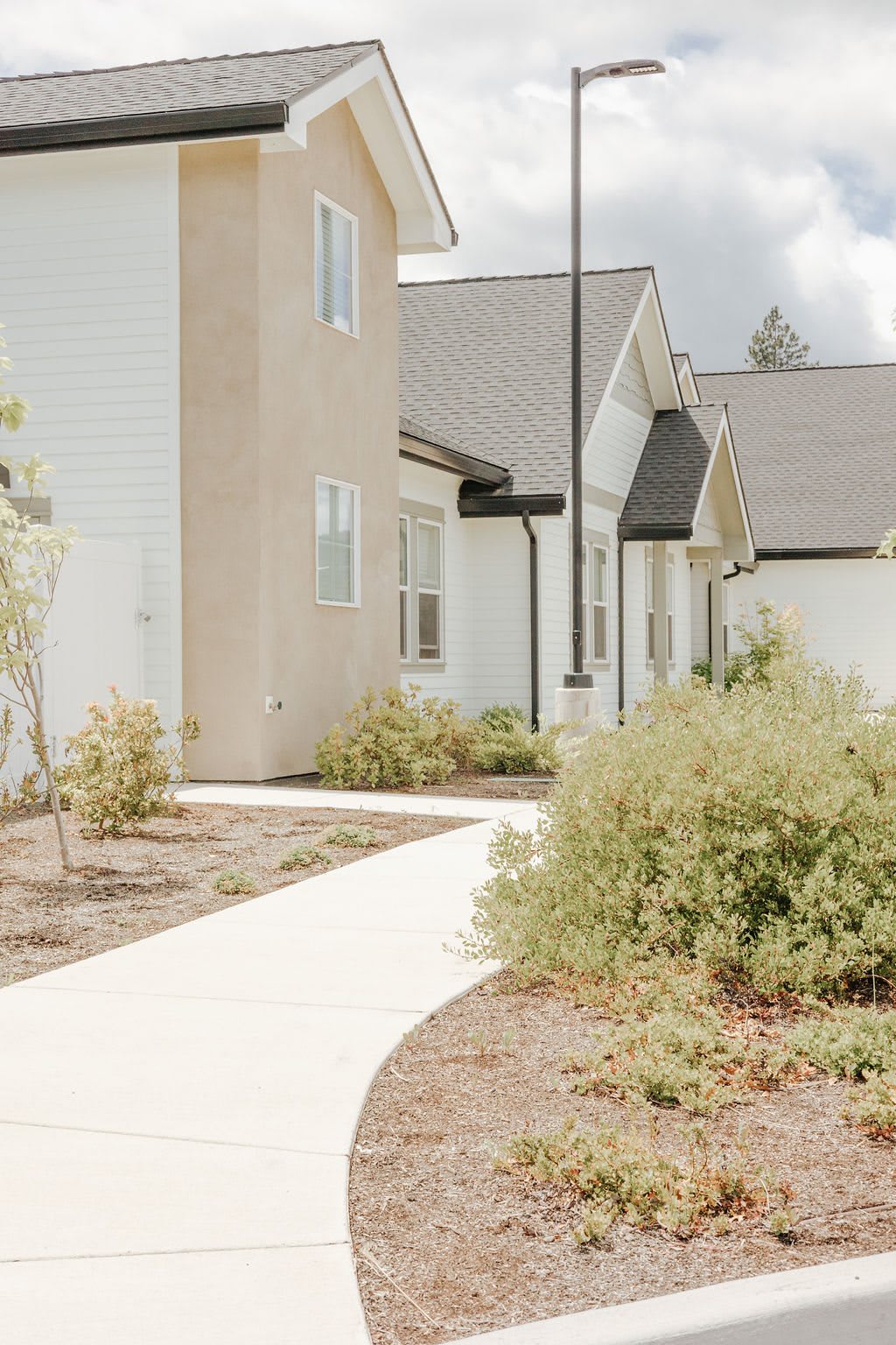 A suburban residential area with a pathway and landscaped gardens.