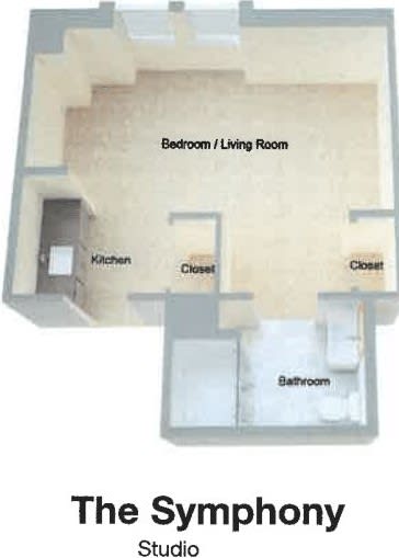 Studio apartment floor plan showing a combined bedroom and living room, kitchen, bathroom, and closets.