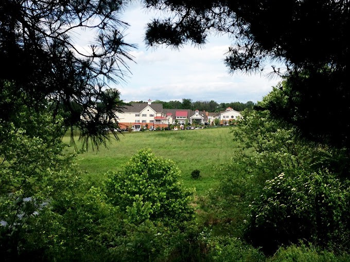 A scenic view of houses surrounded by lush greenery and trees.