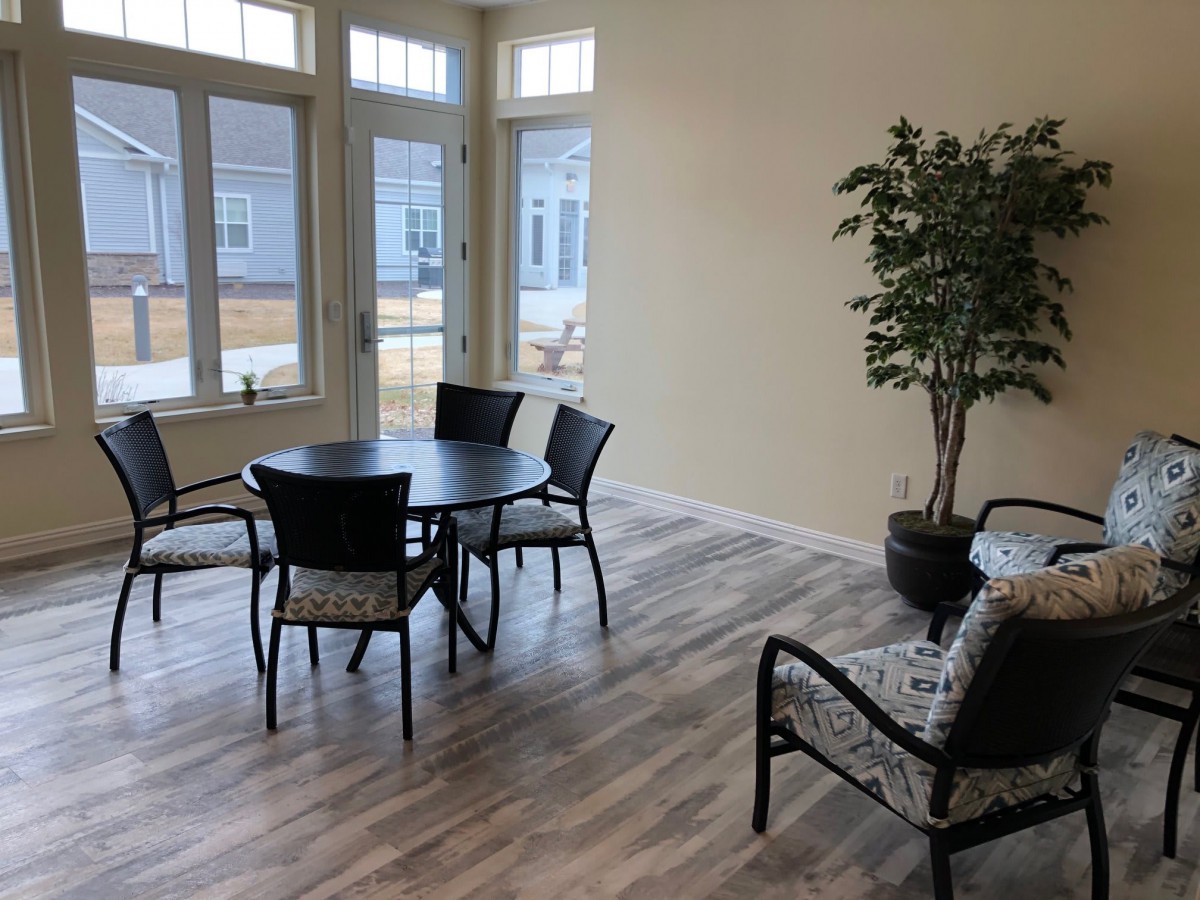 A modern living room with a round table, four chairs, and a large potted plant by the windows.