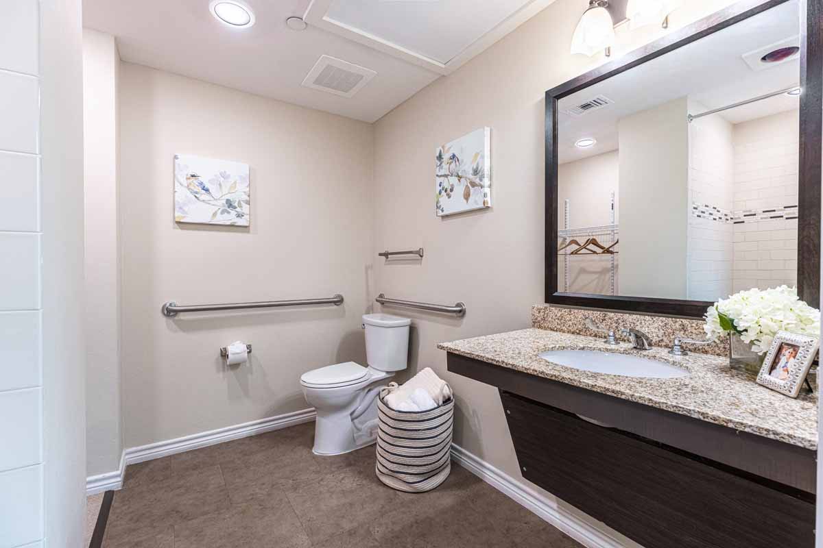 A modern bathroom with safety handrails, featuring a toilet, sink, and mirror.