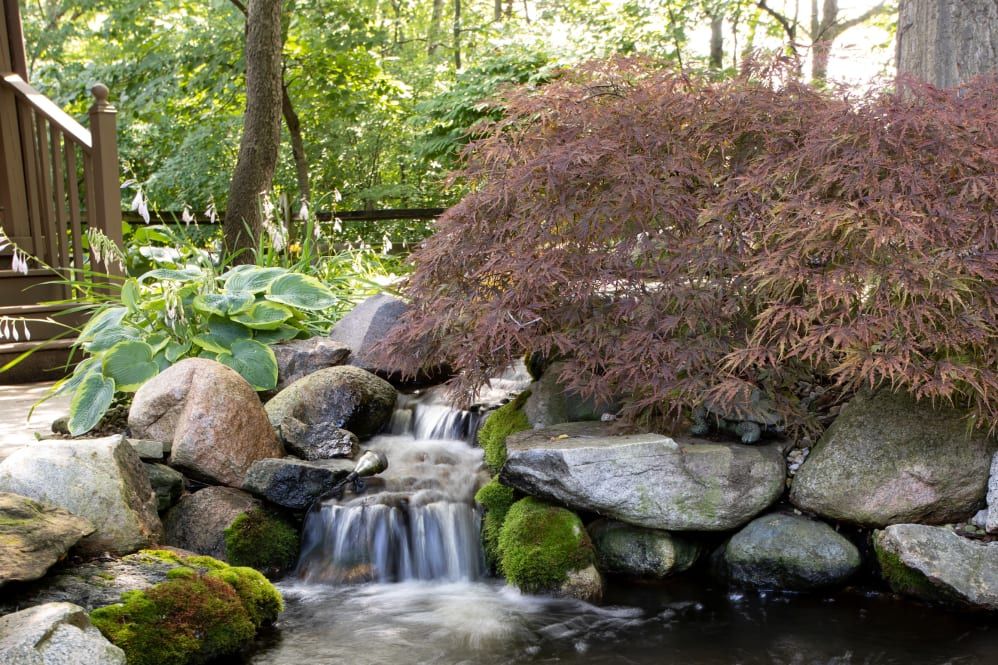 Lakeshore Woods II