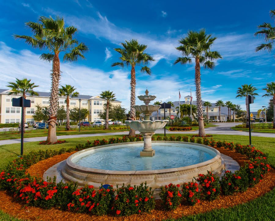 A scenic view featuring a central fountain surrounded by palm trees and buildings under a clear blue sky.