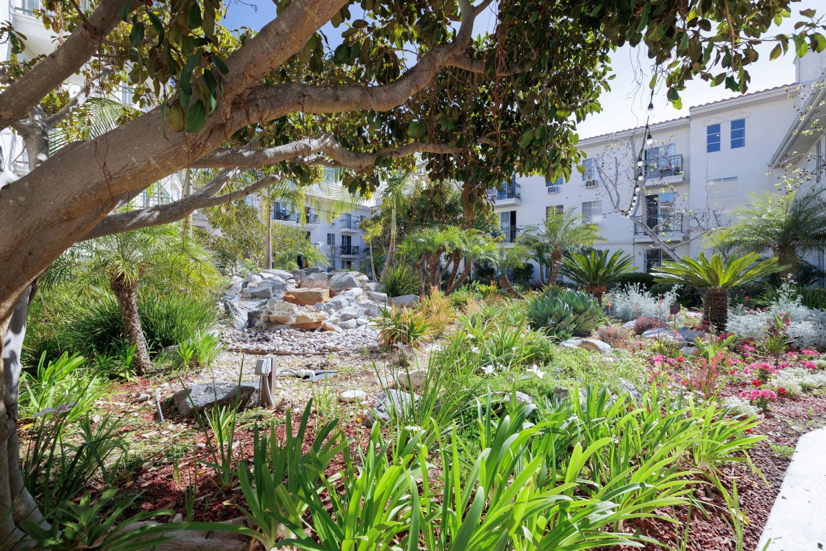 A lush garden with various plants and a central rock feature, basking in sunlight.