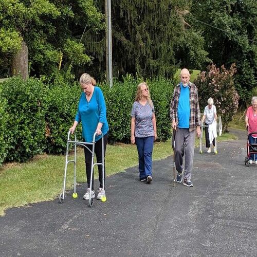 A group of elderly individuals walking together outdoors, promoting health and community engagement.