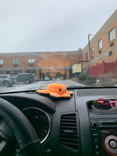 Bland County Nursing & Rehabilitation Center