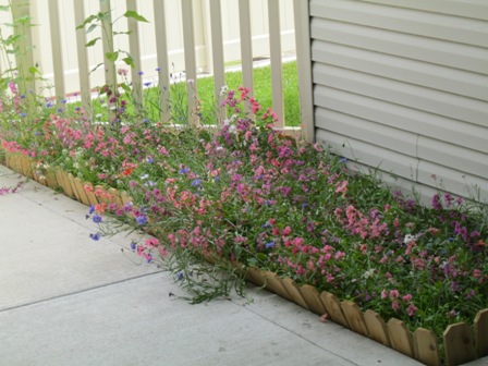Renaissance Senior Care-Helena Saddle Drive
